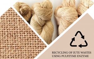 RECYCLING OF JUTE WASTES USING PULPZYME ENZYME